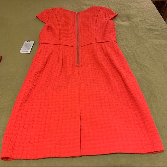 Adrianna Papell Dress - Picture 4 of 4